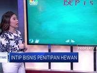 Intip Margin Bisnis Petshop