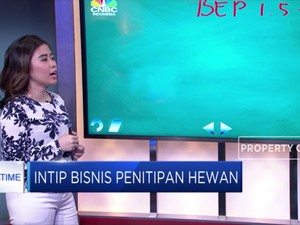 Intip Margin Bisnis Petshop