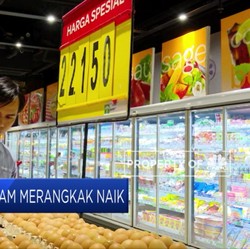 Harga Telur Ayam Mulai Merangkak Naik