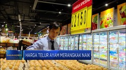 Harga Telur Ayam Mulai Merangkak Naik