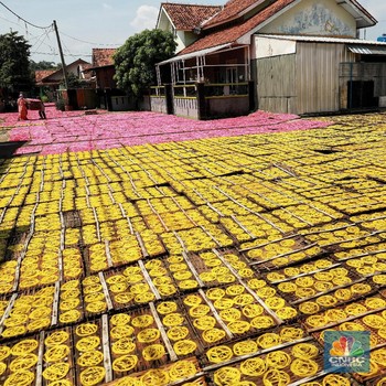 Melihat Kampung Pembuat Kerupuk Mie di Karadenan
