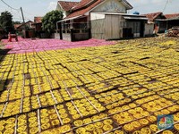 Melihat Kampung Pembuat Kerupuk Mie di Karadenan