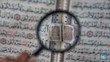 Tanaman Ini Disebut Al-Quran, Ternyata Berasal dari Indonesia