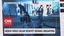 VIDEO: Heboh Virus Cacar Monyet Serang Singapura