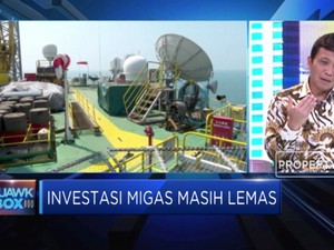 Pemerintah Harus Benahi Investasi Sektor Migas