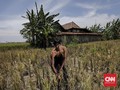 Bikin Pusing Pejabat Desa, Laporan Dana Desa akan Dipermudah