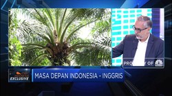 Dubes Inggris Buka-bukaan Soal Larangan Ekspor CPO RI ke UE