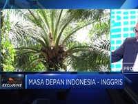 Dubes Inggris Buka-bukaan Soal Larangan Ekspor CPO RI ke UE