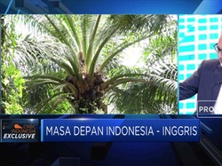 Dubes Inggris Buka-bukaan Soal Larangan Ekspor CPO RI ke UE