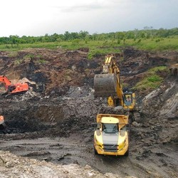Harga Batu Bara Amblas 1,28%, Ke Depan Bagaimana?
