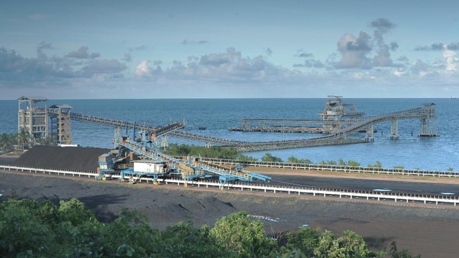 Saham BIPI Terbang 19% Usai Grup Bakrie Masuk Jadi Investor