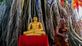 Biksu berdiri di sebelah patung Buddha di bawah pohon raksasa di Candi Borobudur, Magelang, Jawa Tengah (18/5). (Photo by OKA HAMIED / AFP)