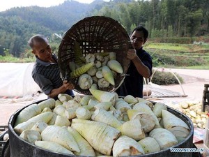 RI Mau Tiru Jurus China Hapus Kemiskinan