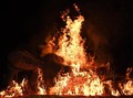 Prosesi Pembakaran Patung Buddha Rayakan Waisak di Mojokerto