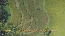 VIDEO: Inovasi Desa Cerdas Duda Timur