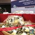 Waspada Produk Berbahaya, Ini Cara Mudah Cek BPOM Online