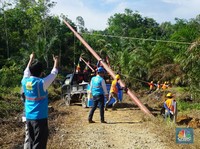 Laba PLN Tiba-Tiba Meroket Jadi Rp 11,6 T, Kok Bisa?
