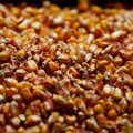 Masih Awal Tahun, Yuk Cek Komoditas Tercuan Versi Reuters!