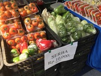 RI Kebanjiran Impor Sayur & Buah, Ini Penjelasan Pemerintah