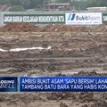 PTBA Optimistis Mampu Kelola Lahan-Lahan PKP2B