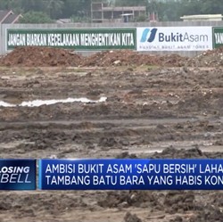 PTBA Optimistis Mampu Kelola Lahan-Lahan PKP2B
