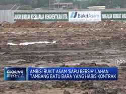 PTBA Optimistis Mampu Kelola Lahan-Lahan PKP2B