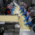 Cuan di Perang Dagang, Begini Wajah Industri Bawang Putih AS