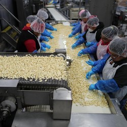 Cuan di Perang Dagang, Begini Wajah Industri Bawang Putih AS