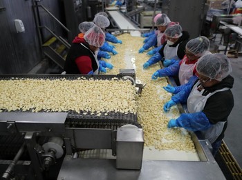 Cuan di Perang Dagang, Begini Wajah Industri Bawang Putih AS
