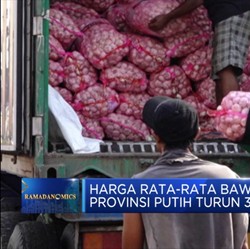 Harga Rata-Rata Bawang Di 34 Provinsi Putih Turun 31,1%