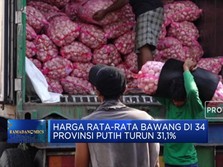Harga Rata-Rata Bawang Di 34 Provinsi Putih Turun 31,1%