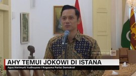 VIDEO: AHY Temui Jokowi di Istana Bogor