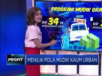 Menilik Pola Mudik Kaum Urban