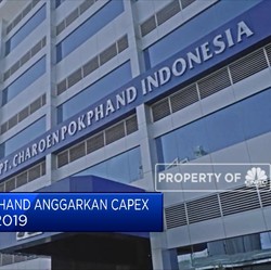 Pendapatan Meningkat, Laba CPIN Kok Malah Turun?