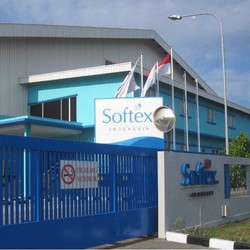 Sah! Kimberly-Clark Tuntaskan Akuisisi Softex Rp 18 T