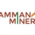 Batal Join Freeport, Amman Mineral Ubah Rancangan Smelter