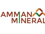 Batal Join Freeport, Amman Mineral Ubah Rancangan Smelter