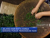 Jelang Lebaran, Harga Pangan Merangkak Naik