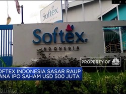 Softex Indonesia Siap Lepas Saham ke Publik
