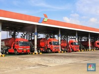 Kembangkan Urban Farming, Pokbun Binaan Pertamina Jadi Contoh