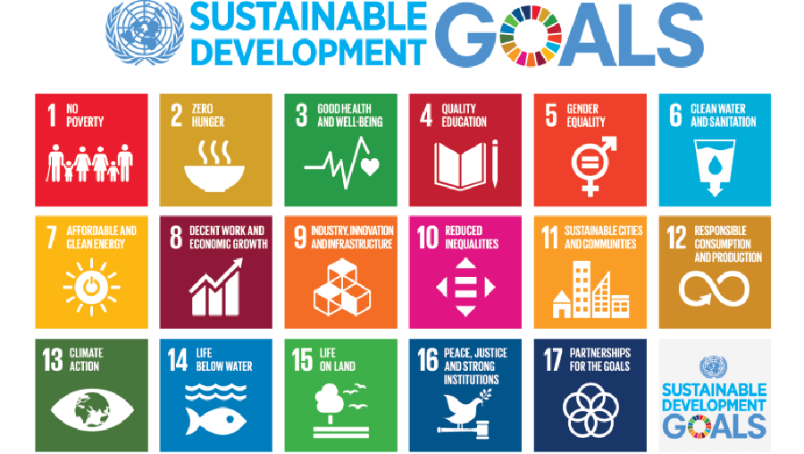 Sustainable Development Goals