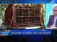 Polemik Aturan CPO Uni Eropa