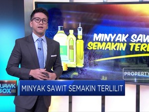 Pasar Ekspor Sawit Makin Sulit