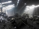 Ironi, Daur Ulang Ban Bekas Malah Merusak Lingkungan.