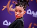 Anak Will Smith Ditawari Proyek Film Porno