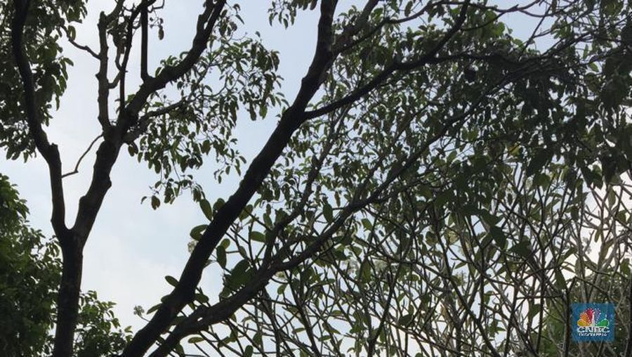 Para pelayat ikut dalam upacara pemakaman mendiang Ani Yudhoyono, di Taman Makam Pahlawan (TMP) Kalibata, Minggu (2/6/2019).