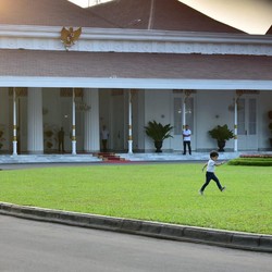 Heboh Gubernur Jakarta Ditunjuk Presiden, Ini Kata Istana!