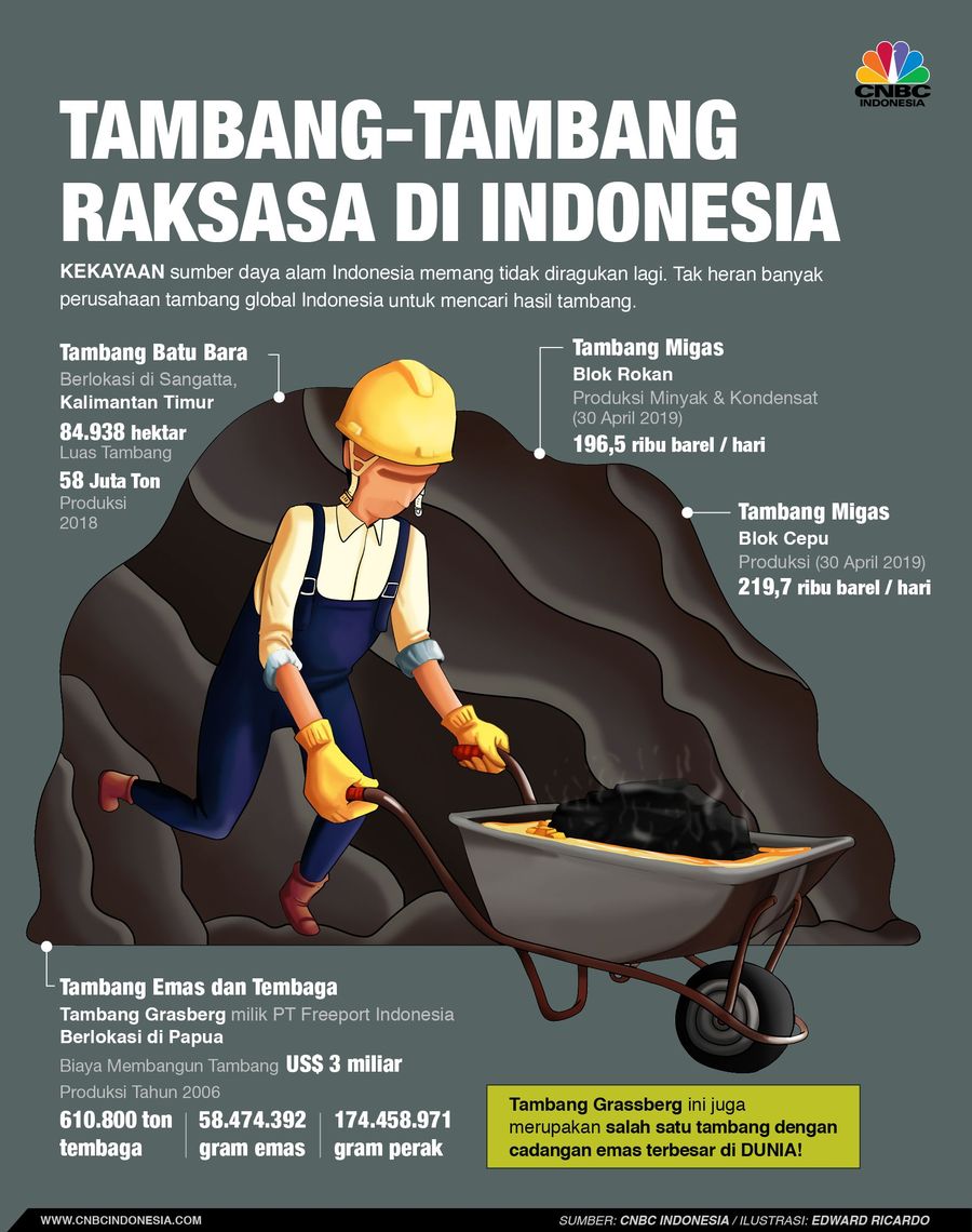 Deretan Tambang Raksasa di Indonesia Kekayaan sumber daya alam Indonesia memang tidak diragukan lagi. Tak heran banyak perusahaan tambang global Indonesia untuk mencari hasil tambang.