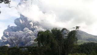 Erupsi Sinabung, Ribuan Hektare Lahan Pertanian Terdampak