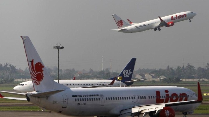 A Lion Air airplane takes off at Soekarno-Hatta airport in Jakarta April 29, 2013. REUTERS/Beawiharta